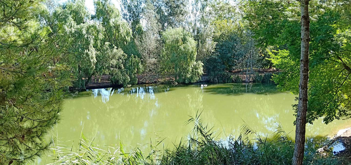 Finca rústica cerca de Xativa, Valencia